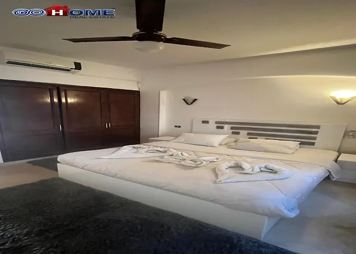 شقة -y97-0-8- 1 Bedroom Sabina
